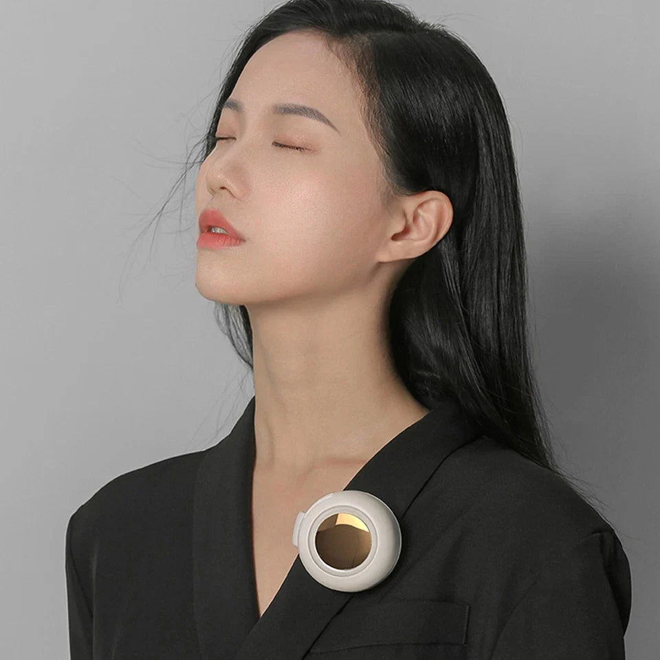Portable Clip Fan