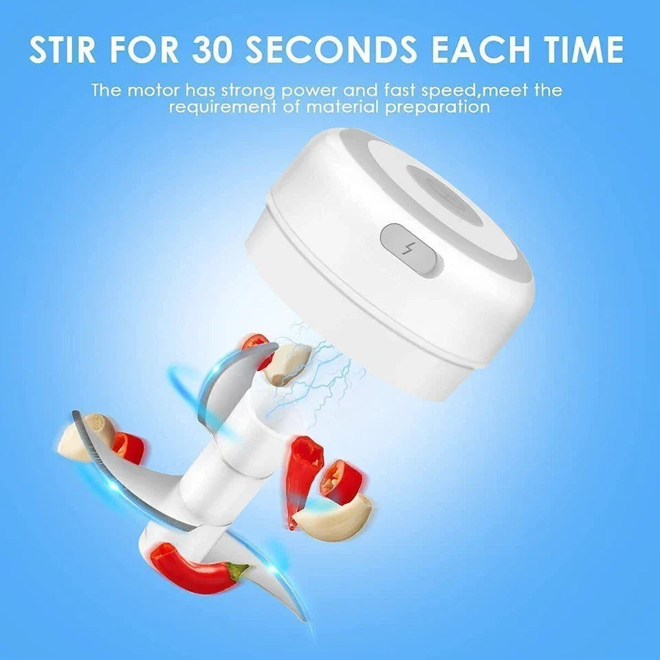 Mini Food Chopper